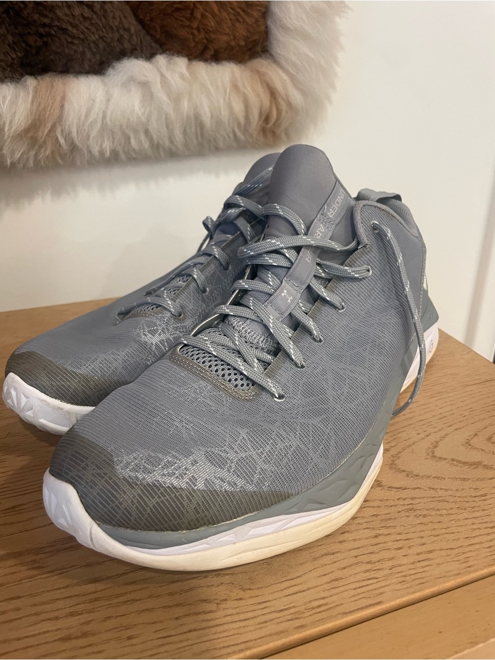 Under ArmAthletic Trainers in Gray